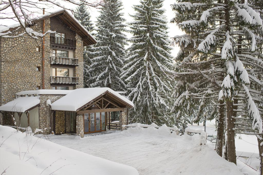 Ana Hotels Bradul Poiana Brașov Exterior foto